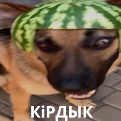 Foto Profilo
